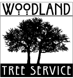 Welcome to the Woodland Ventures and Tree Service website - Tree Pruning removal arborist boise idaho